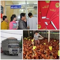 Nhiều cơ chế, chính sách mới có hiệu lực từ tháng 1 2015